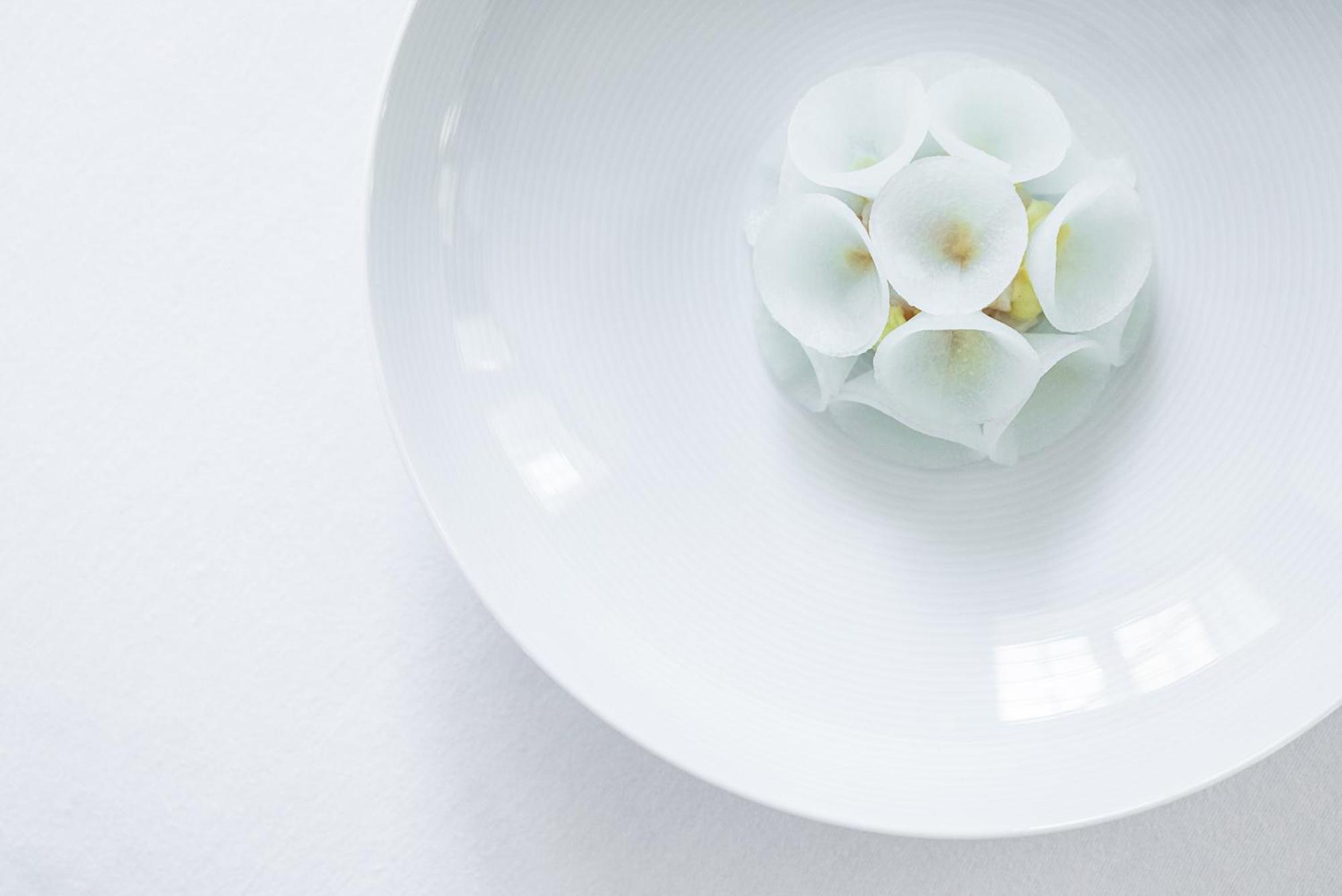 Norre Vosborg & Gastronomi Vemb